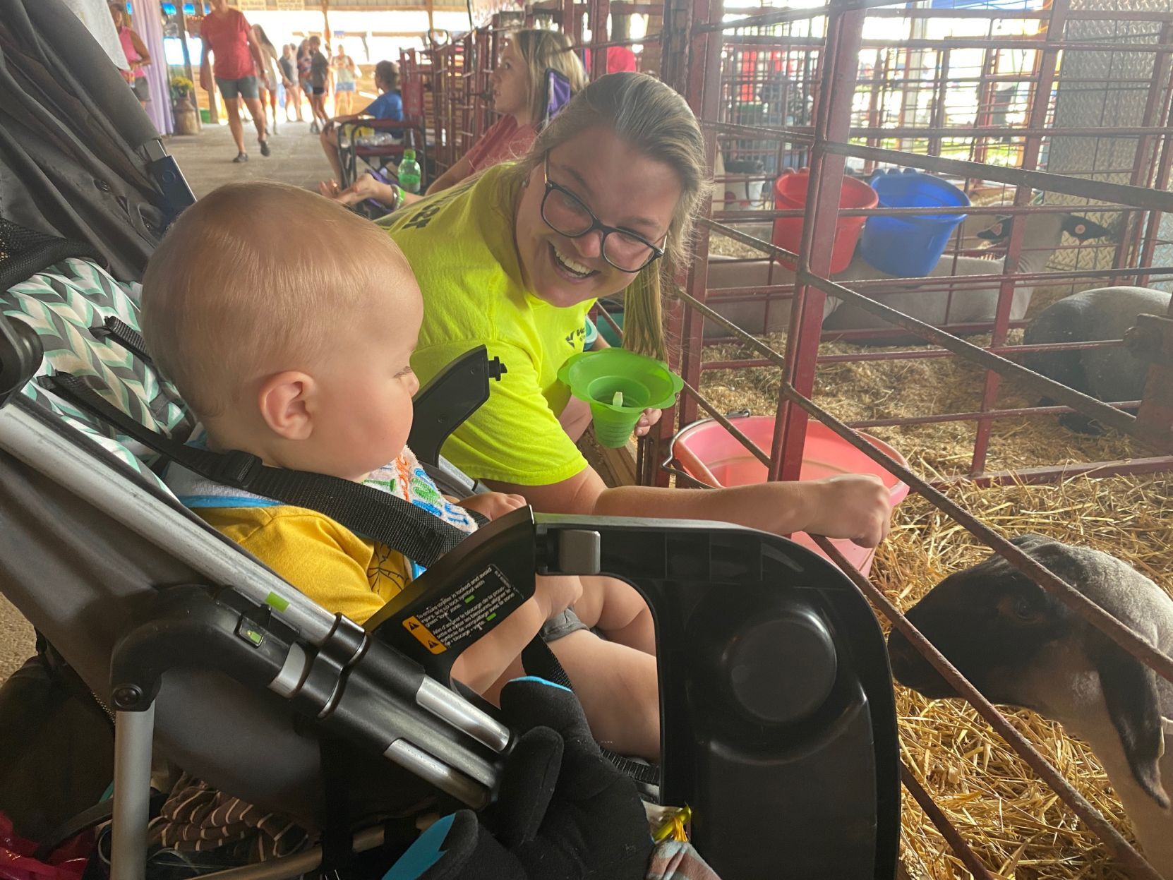 At the fair